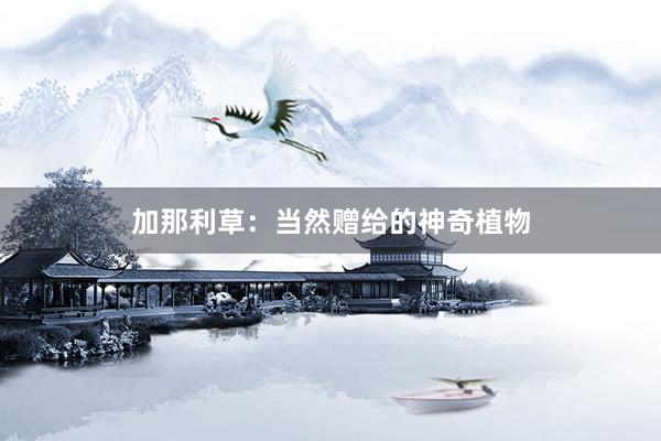 加那利草：当然赠给的神奇植物